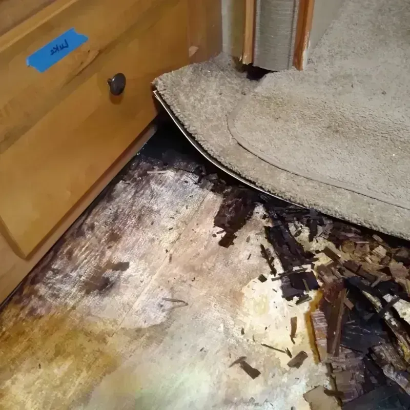 Best Wood Floor Water Damage Service in South Hempstead, NY